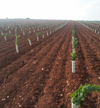 Suministros Agrícolas en plantacionesagrIcolas.es
