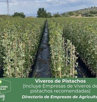 Viveros de pistachos en Directorio de Empresas plantacionesagricolas.es
