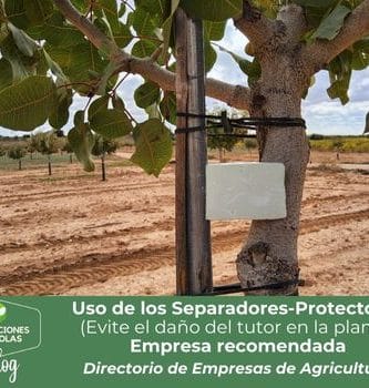 Uso de separadores-protectores