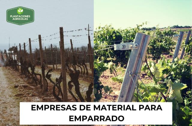 Empresas de Material para Emparrado