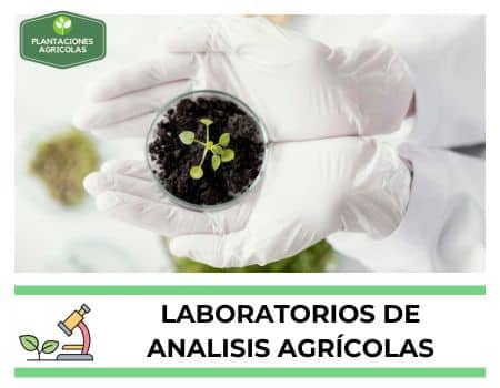 Laboratorios de análisis agrícolas