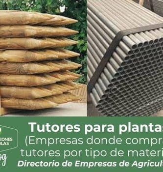 Tutores para plantas