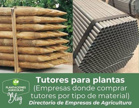 Tutores para plantas