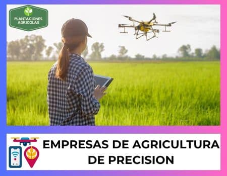 Empresas agrícolas de precisión