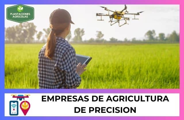 Empresas de Agricultura de precisión 1 Empresas de Agricultura de precisión