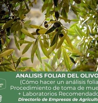 Anáilisis foliar de olivos