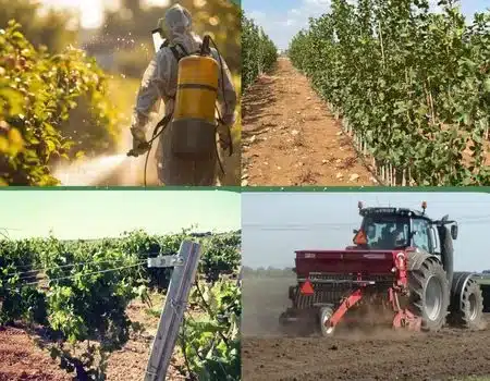 Artículos de agricultura