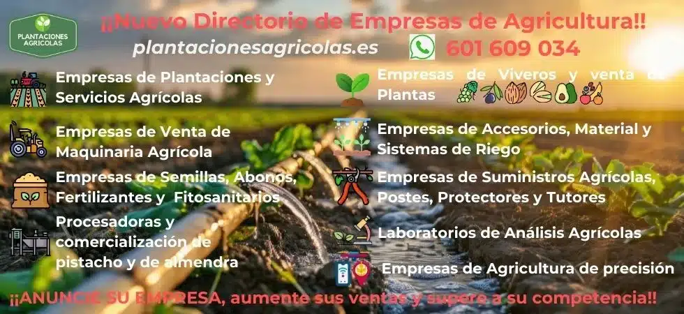 Plantaciones Agrícolas 1 Directorio de Empresas de Plantaciones Agrícolas
