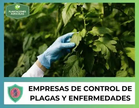 Empresas de control de plagas en agricultura