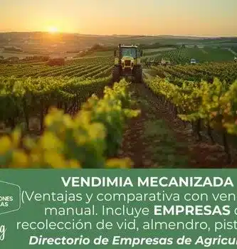 Vendimia mecanizada Vs Vendimia manual