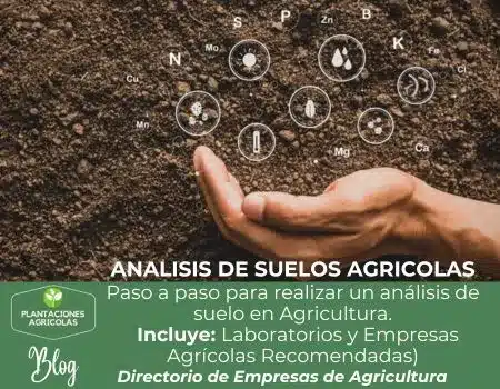 Guía práctica sobre análisis de suelos agrícolas